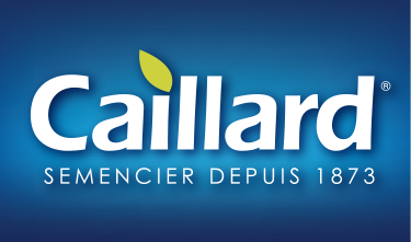 Caillard